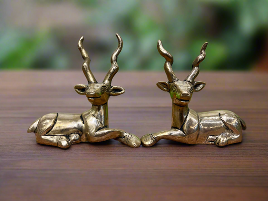 Brass Deer Home Decor (set of 2)