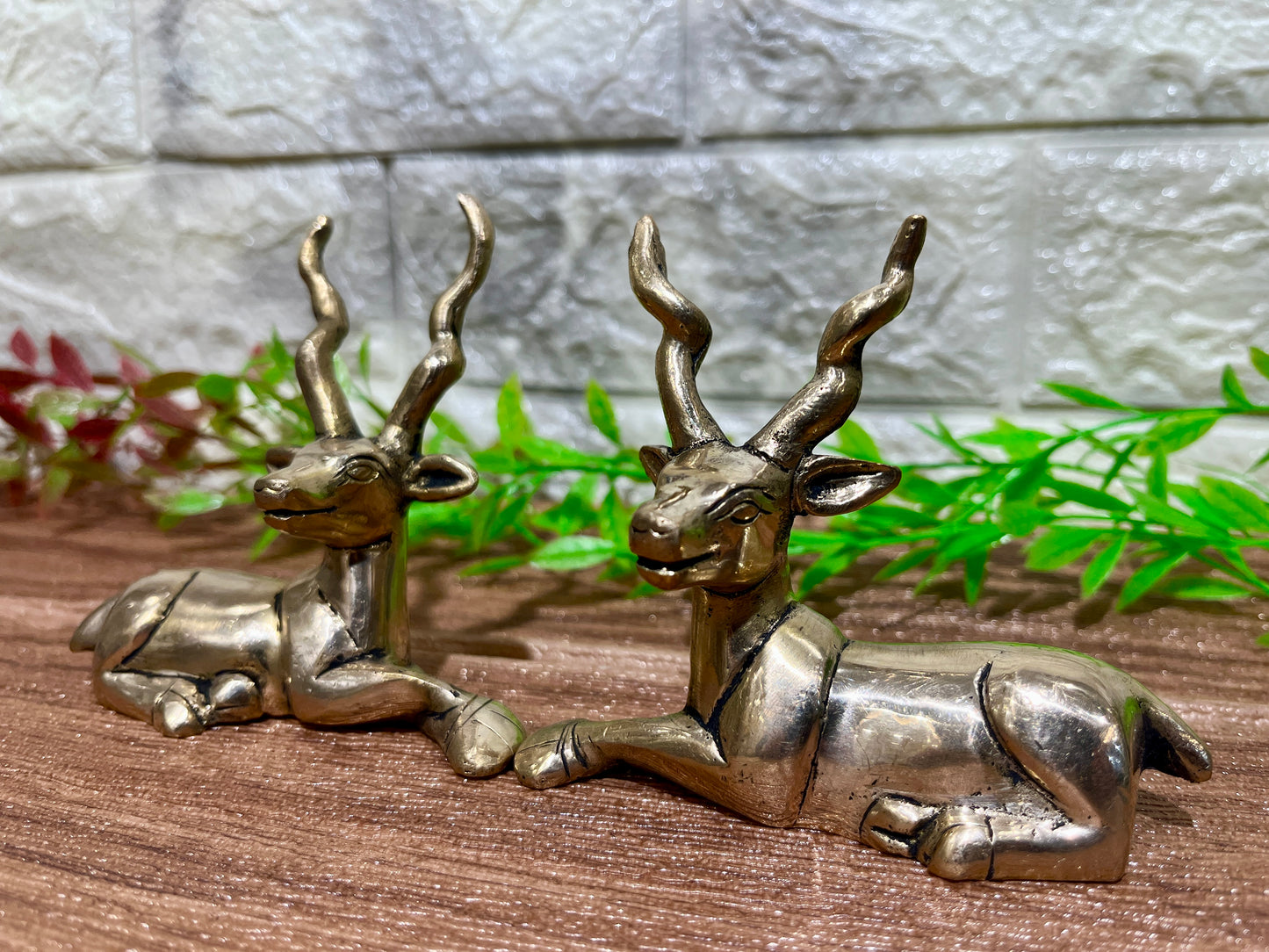 Brass Deer Home Decor (set of 2)