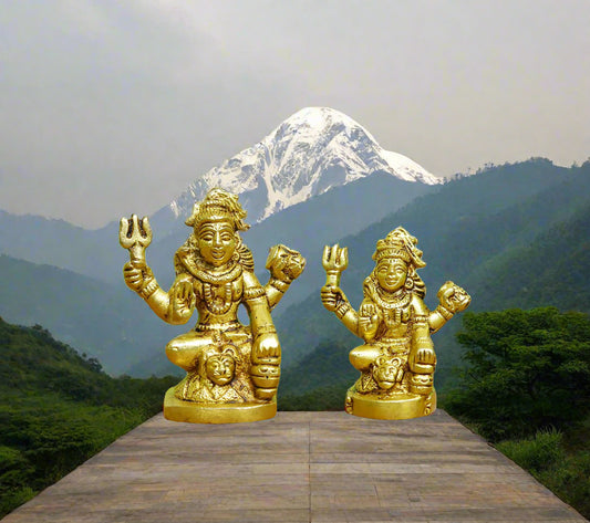 Brass Shiv Ji